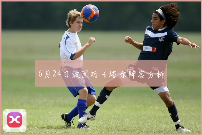 6月24日波黑对卡塔尔阵容分析