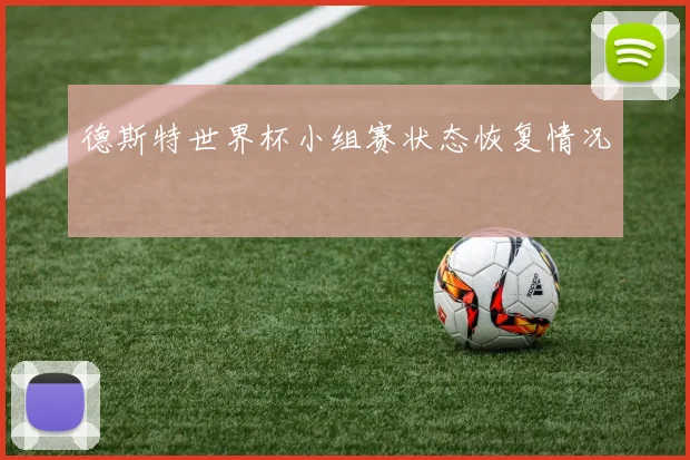 德斯特世界杯小组赛状态恢复情况