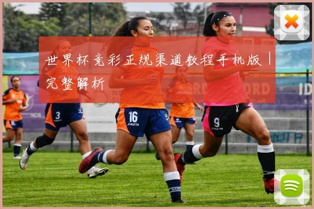世界杯竞彩正规渠道教程手机版｜完整解析