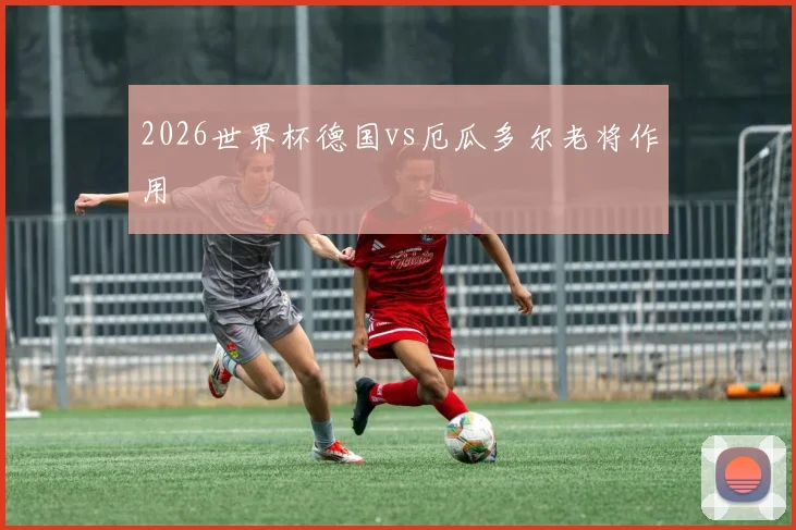 2026世界杯德国vs厄瓜多尔老将作用