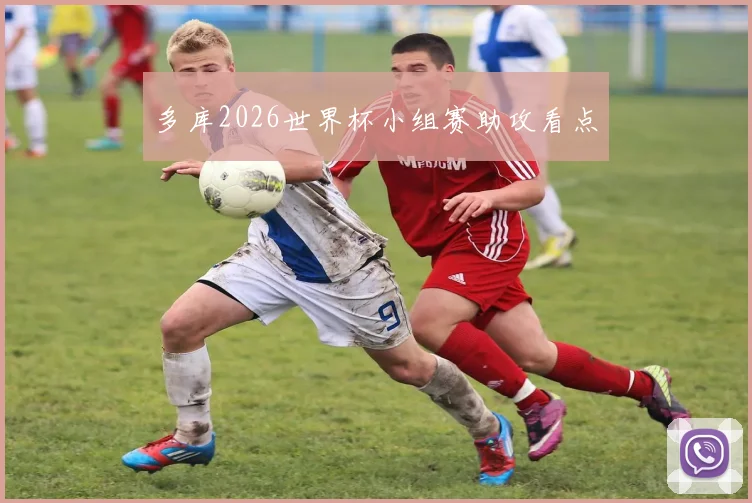 多库2026世界杯小组赛助攻看点